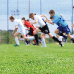 Developing physical literacy can be done in sports performance and play settings.